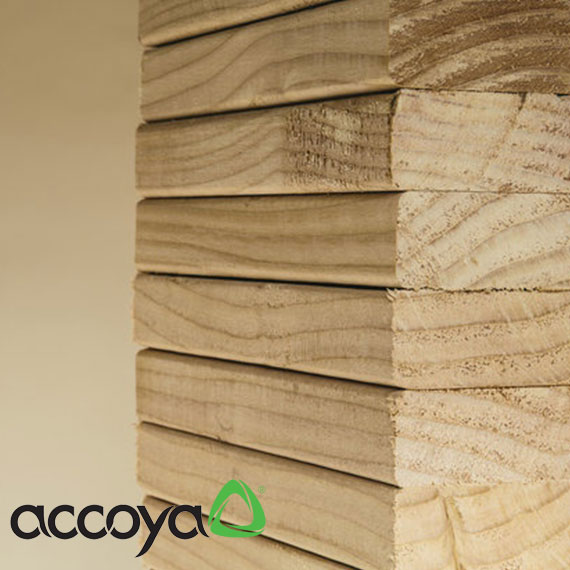 accoya wood